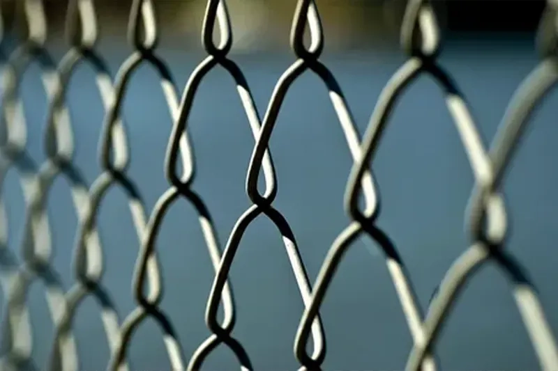 How Are Wire Mesh Prices Determined?